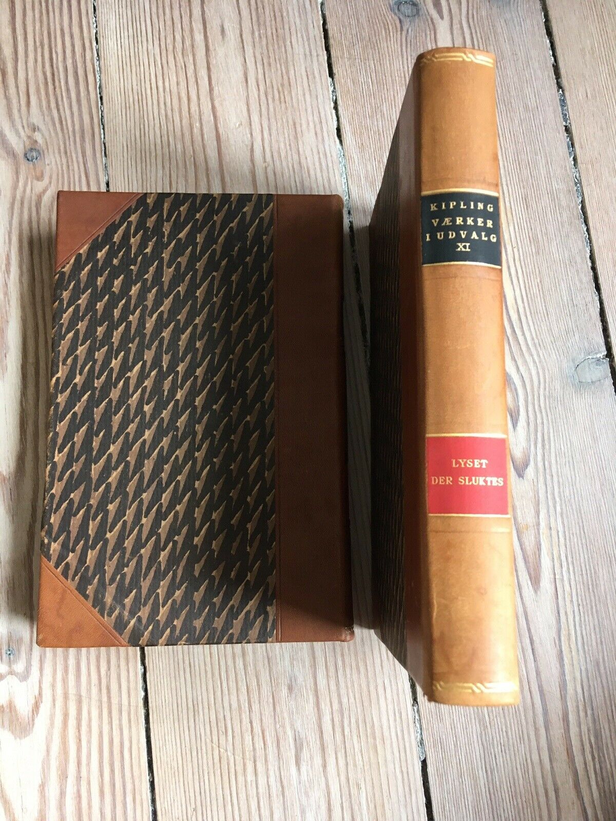 To titler, Kipling værker, genre: roman