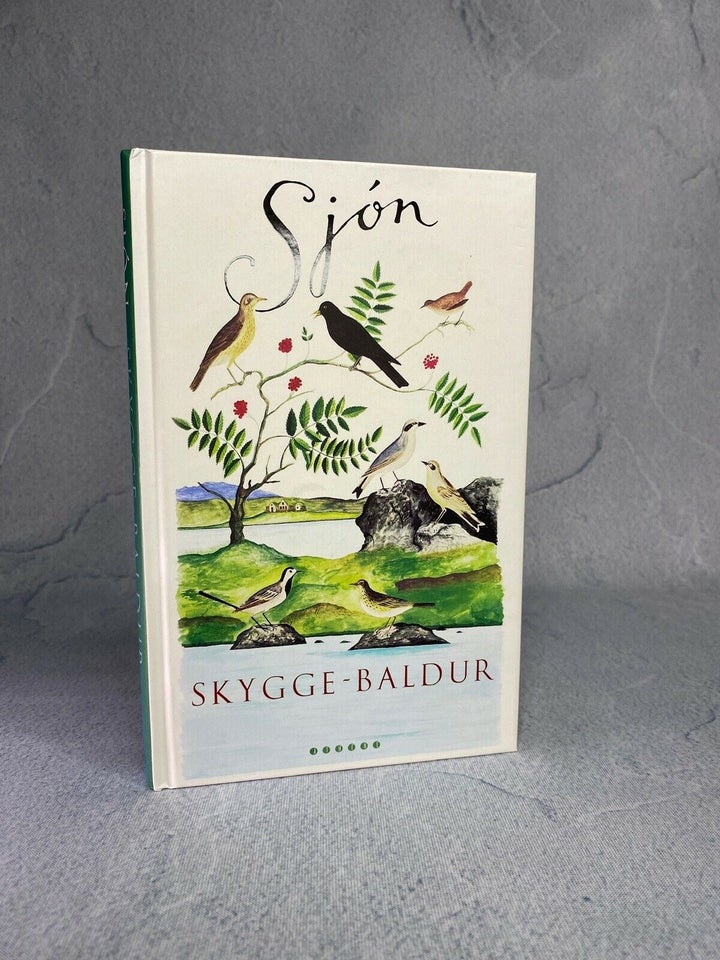 Skygge-Baldur, Sjon, genre: roman