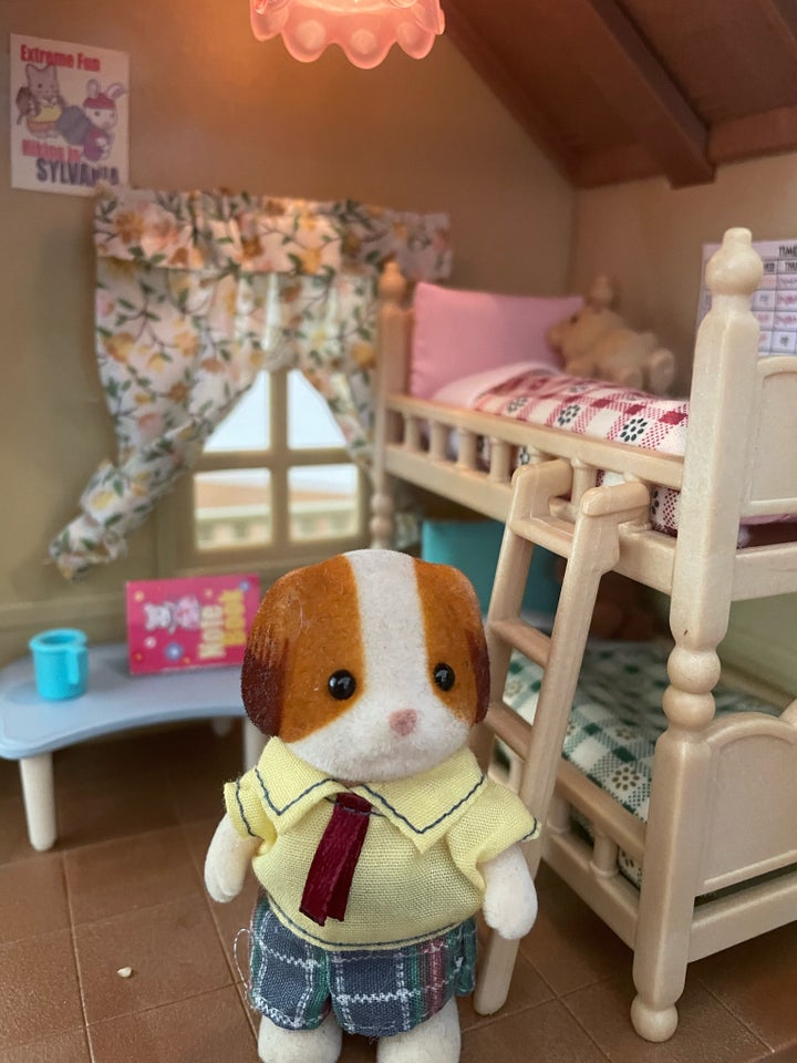 Sylvanian, Sylvanian