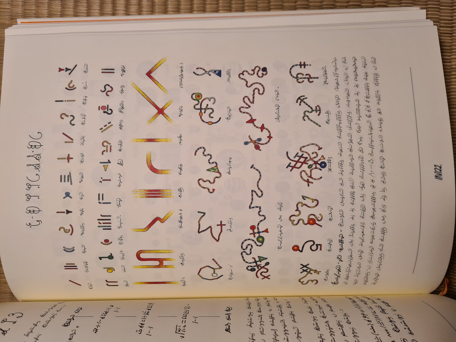 Codex Seraphinianus, Luigi Serafini, anden bog