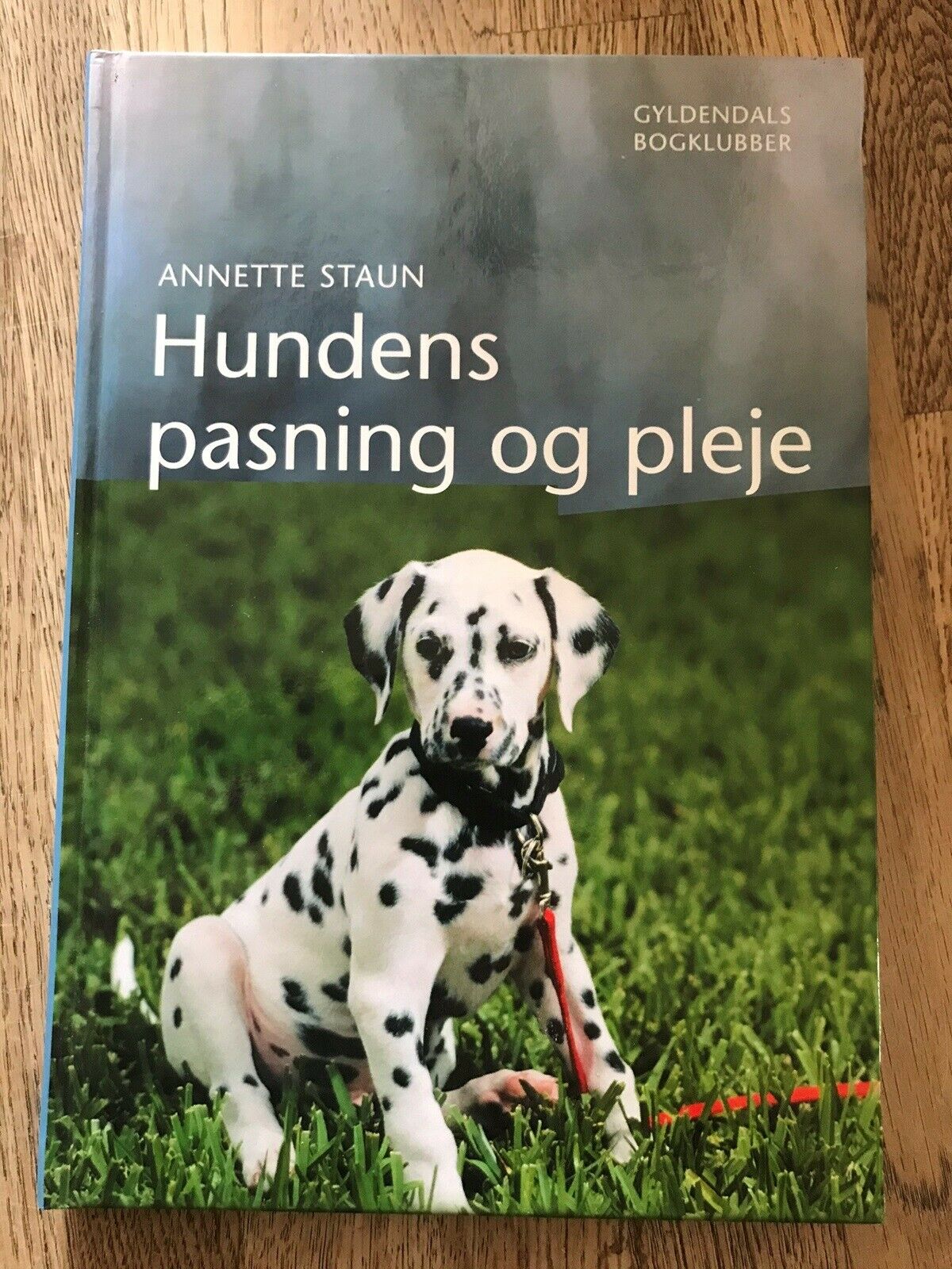 Hundens og pleje, Annette - dba.dk Køb og Salg af og Brugt