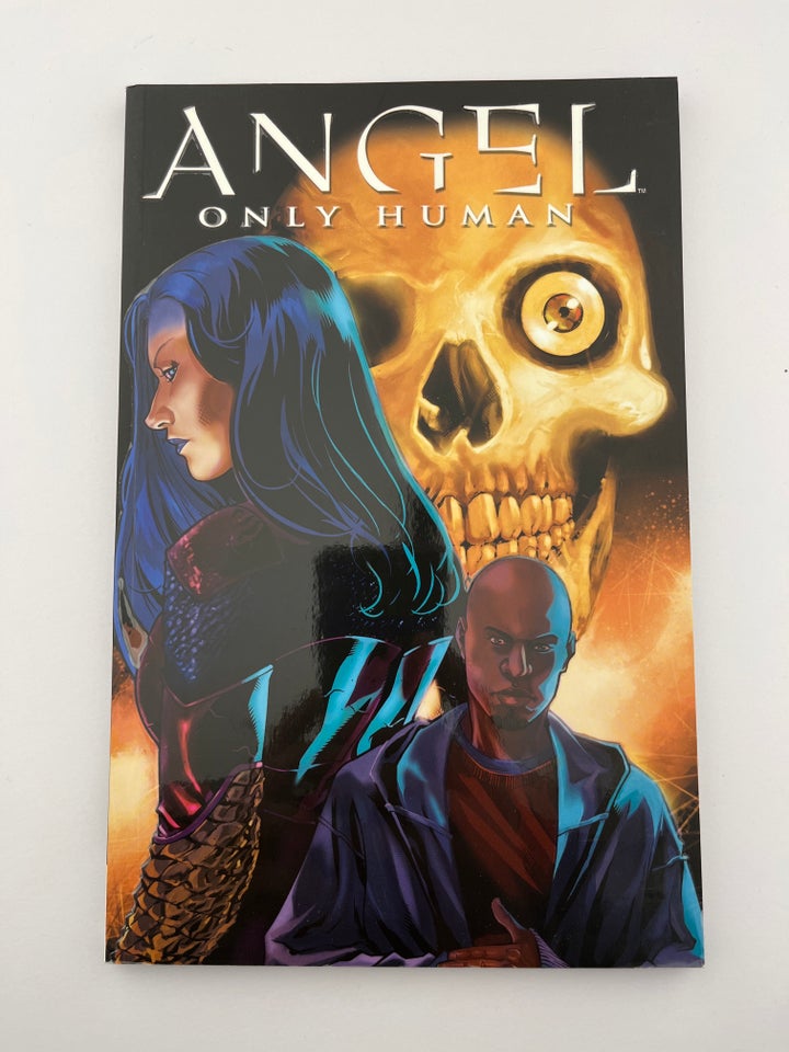 Angel Only Human, Scott Lobdell, David Messina