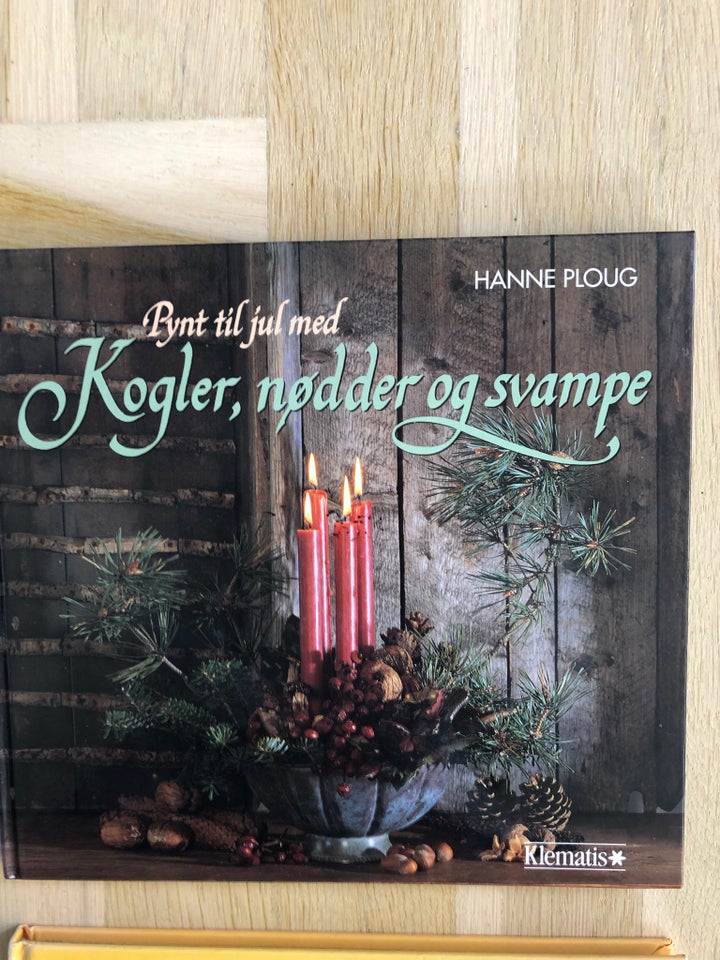 Dekorations bøger, Hanne Ploug, emne: hus og have