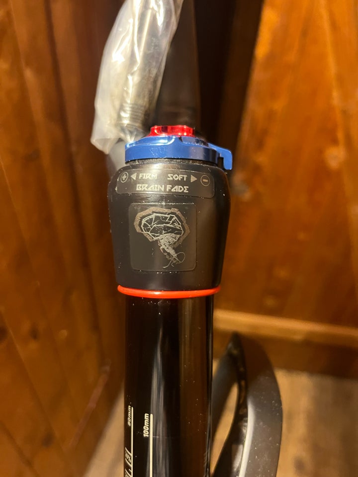 Forgaffel, Mountainbike RockShox SID Brain WC 29”