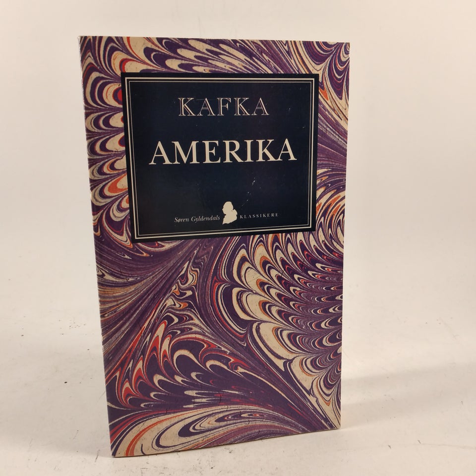Amerika, Kafka, genre: roman