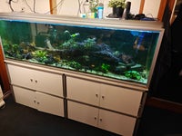 Akvarie 702 Liter