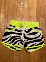 Shorts, Zebra stribede shorts, Molo