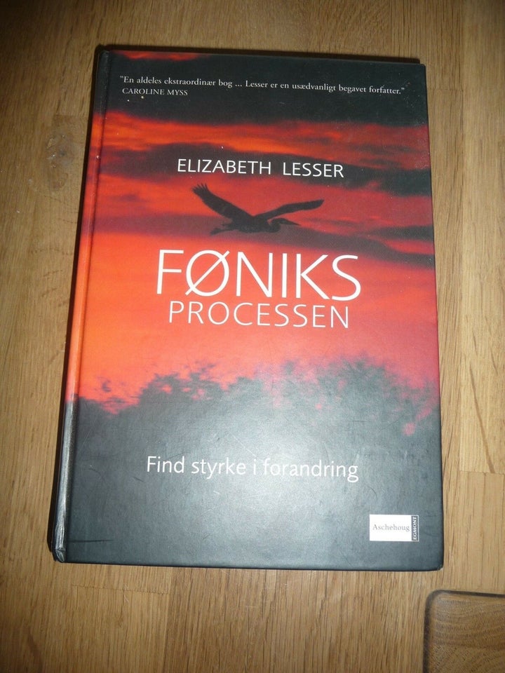 Føniks Processen, Elisabeth Lesser, emne: personlig