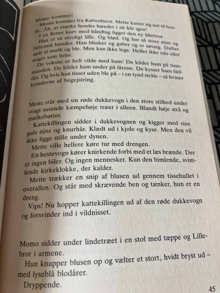 Skibet i flasken, Dea Trier Mørch, genre: roman