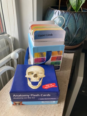 Anatomy Flash Cards, emne: krop og sundhed