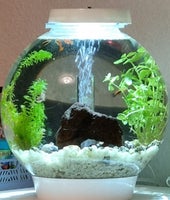 Akvarium, 30 liter