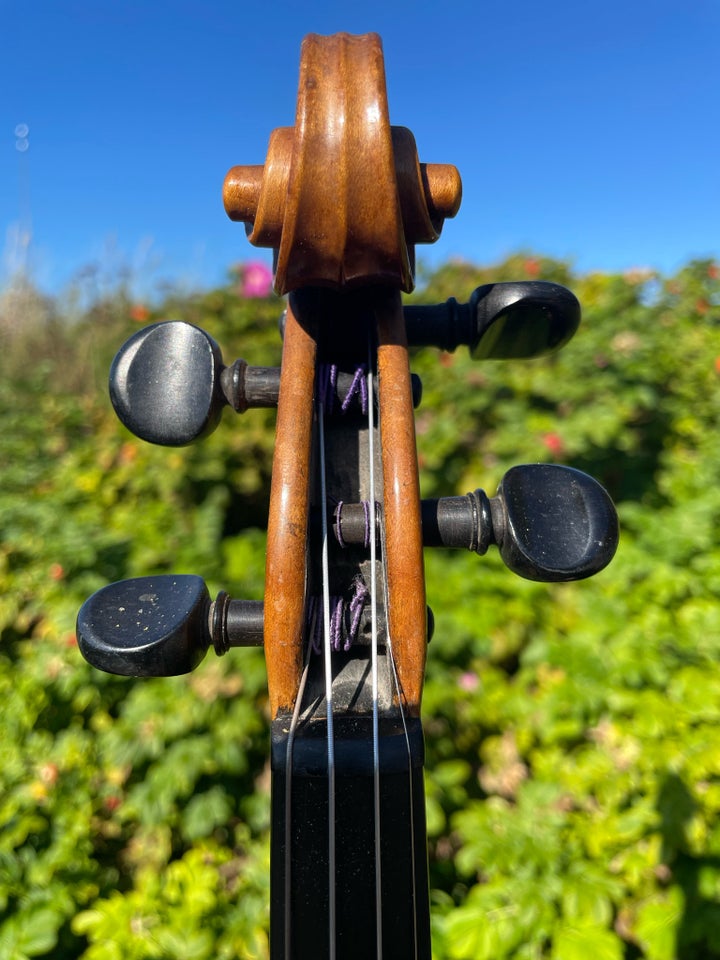 Gammel violin , Antonius Stradivarius Cremonensis