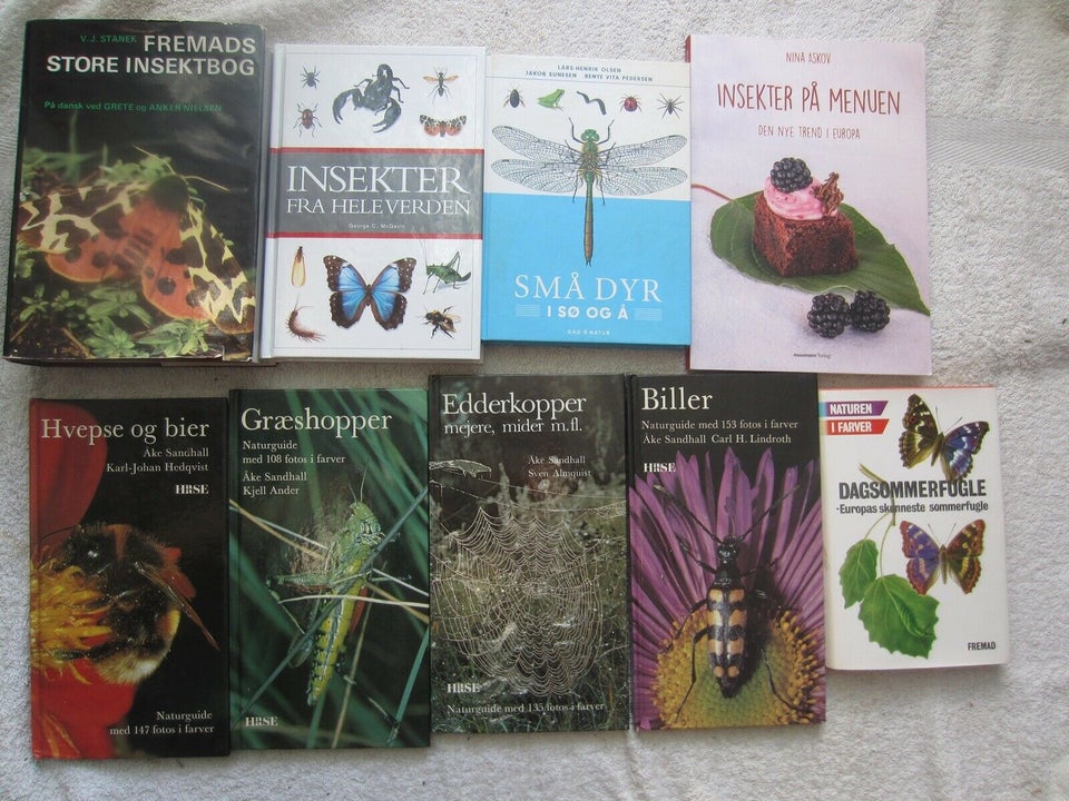 Den store guide til insekter og edderkopper, Jinny Johnson,