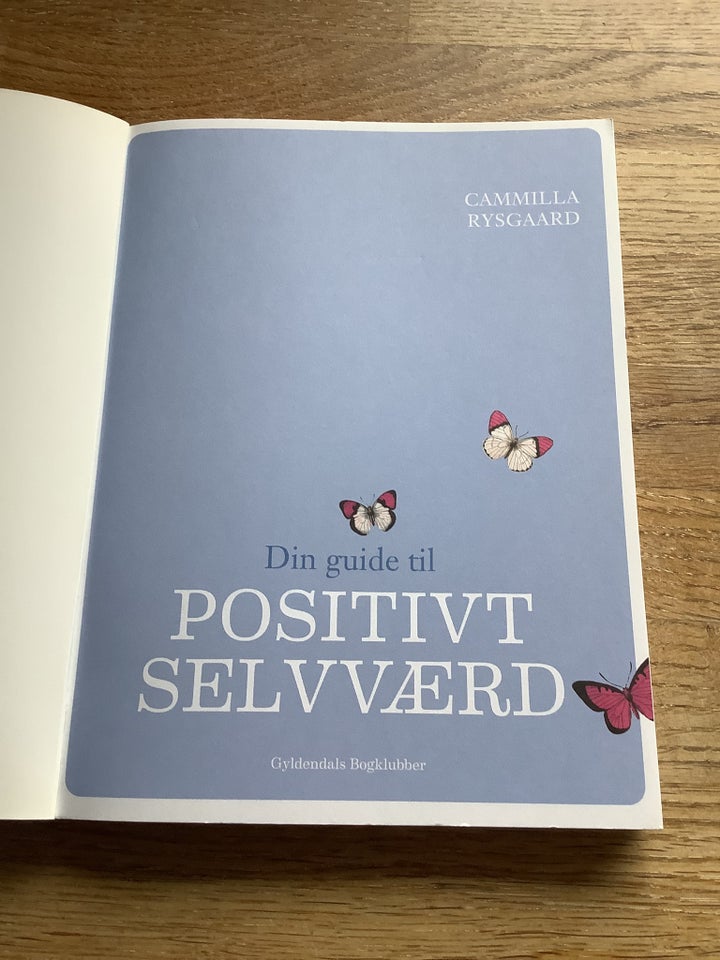 Din guid til positivt selvværd, Camilla Rysgaard, år 2011