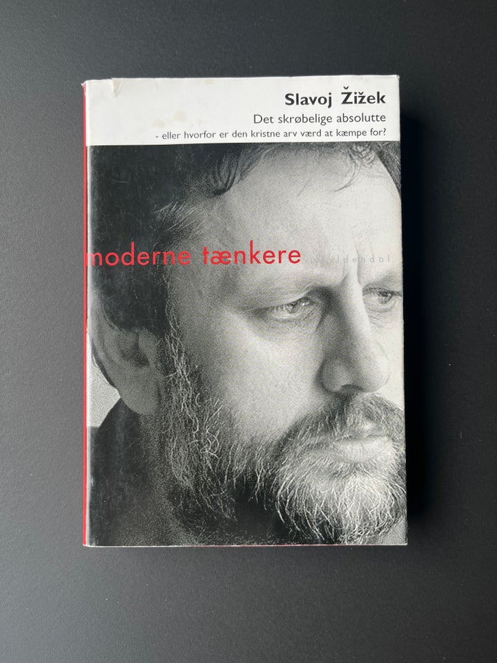 Det skrøbelige absolutte, Slavoj Zizek, emne: filosofi
