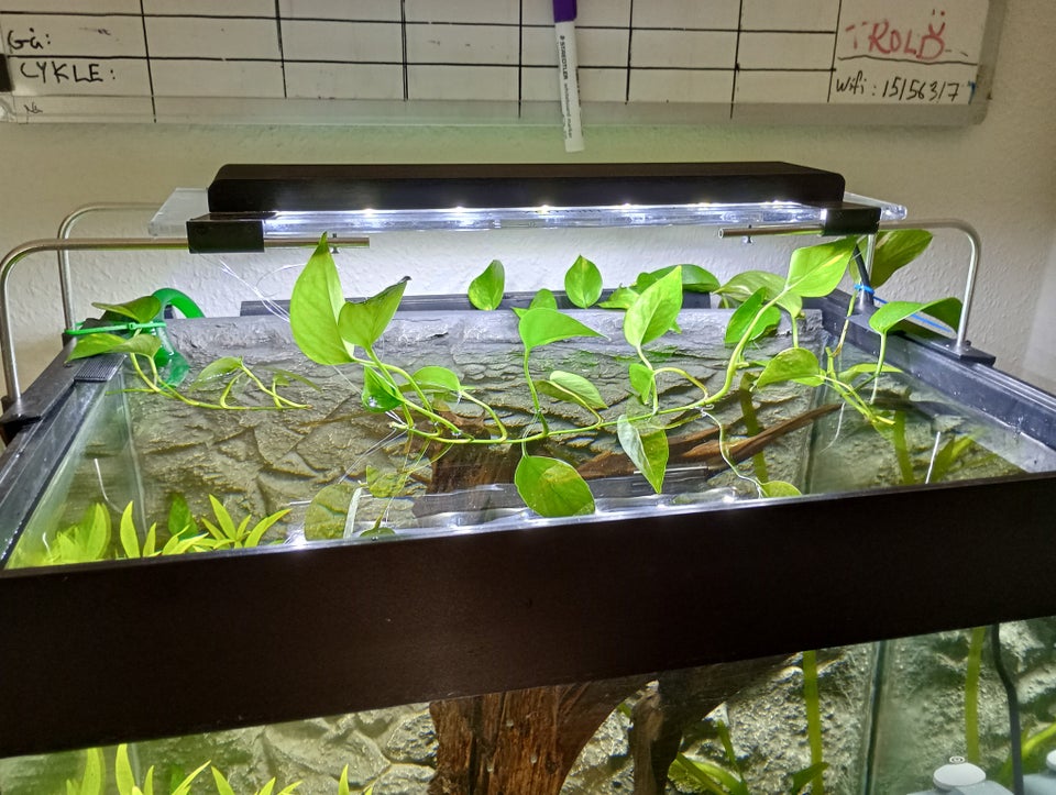 Akvarium, 120 liter