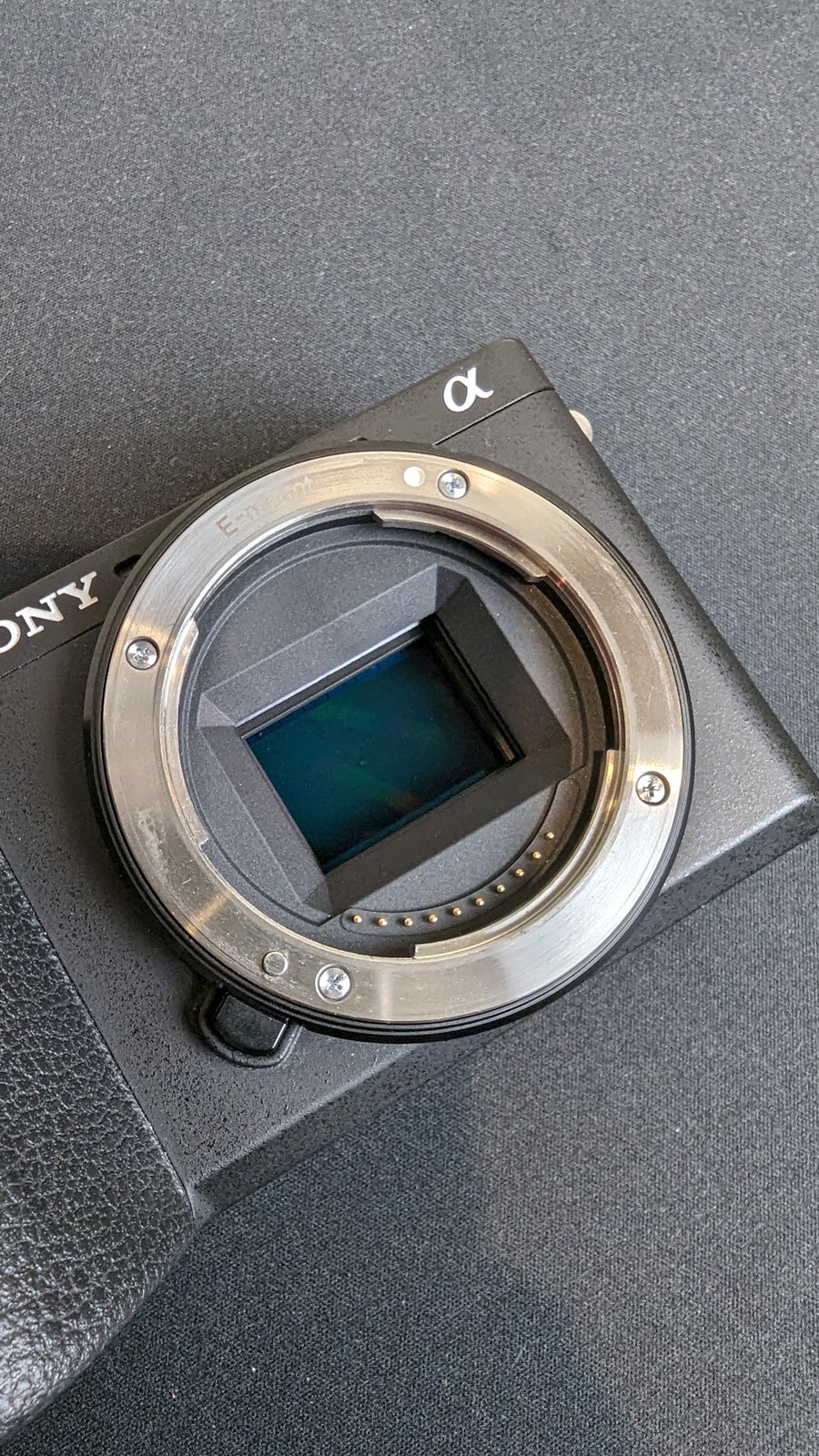 Sony, A6600, 24.2 megapixels