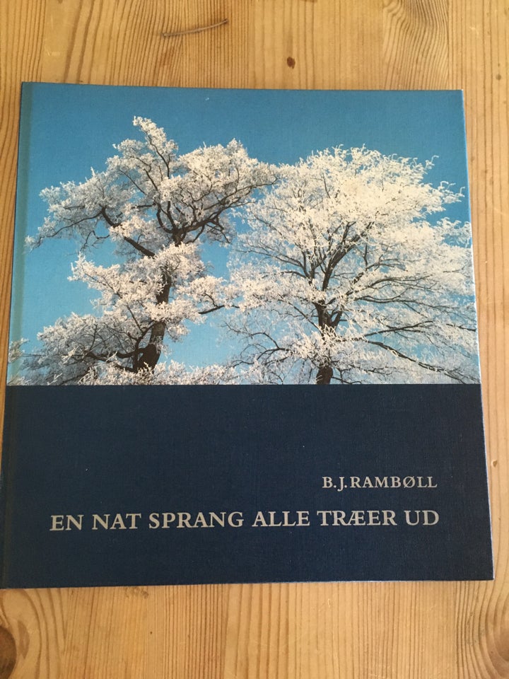 En nat sprang alle træer ud, B.J. Rambøll, genre: anden