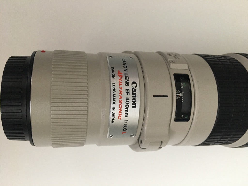 Prime, Canon, 400mm f/5.6 L USM with Lens LZ113