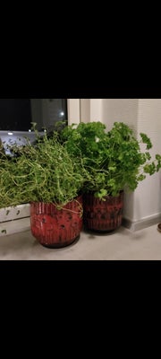 Urtepotter, West Germany, I flot julerød / vinrød glasur. Perfekt til sæsonens julestjerne.
Sælges s