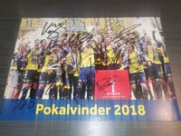 Autografer, Brøndby IF 2018 hold billede signeret