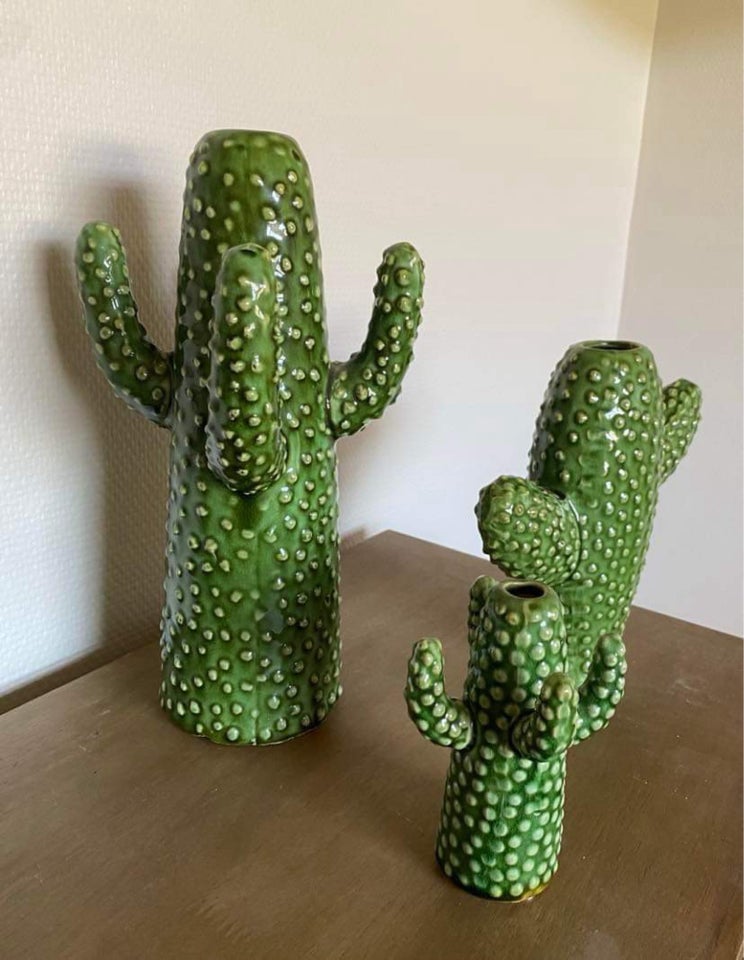 Kaktus vaser