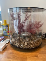 Akvarium, 15 liter