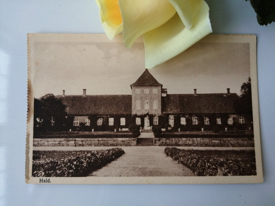 Postkort, Hald Hovedgård. Viborg