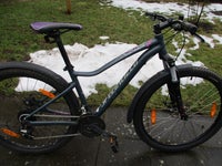 Specialized, hardtail, 42 tommer