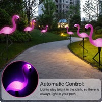 LED, Flamingoer