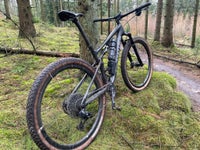 Specialized, full suspension, L tommer
