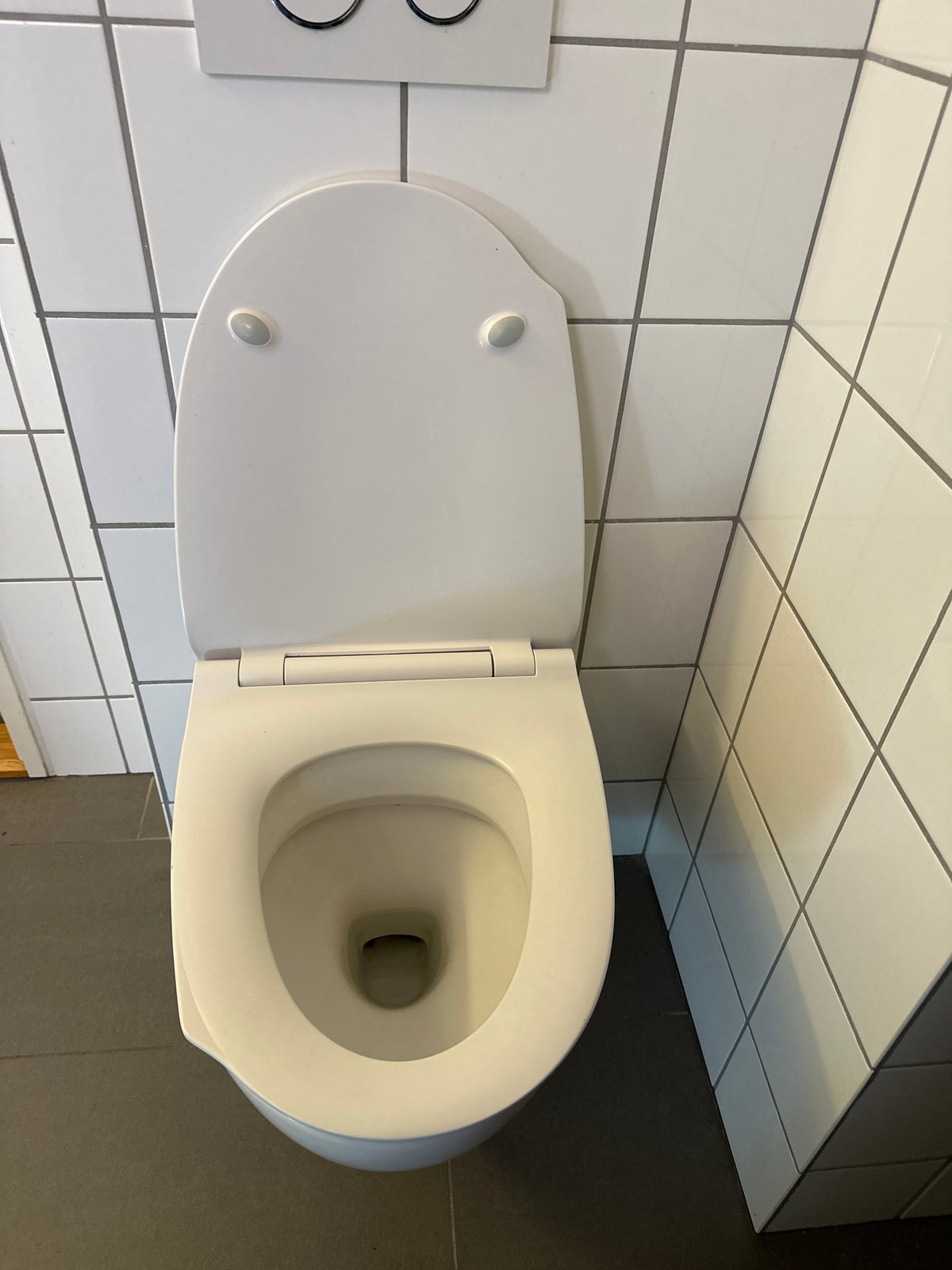 Toilet, Ifö, væghængt