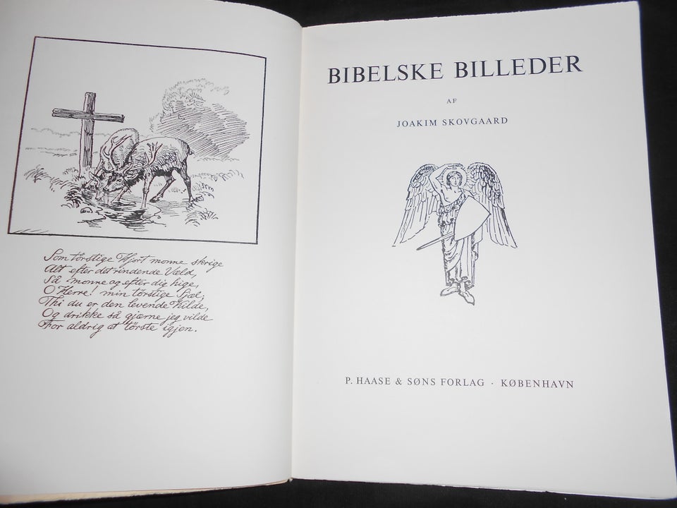 Bibelske billeder, Joakim Skovgaard