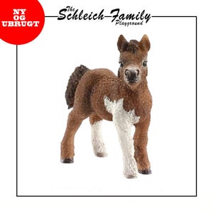 Miniature Shetland pony family 41432 HORSE CLUB