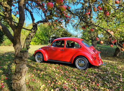 VW 1300, 1,3, Benzin, 1973, km 42000, rød, nysynet, 2-dørs, VW 1300, 1,3, Benzin, 1973, rød, 2-dørs,