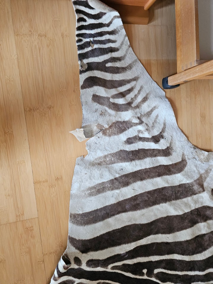 Zebra Skin fra øst afrikansk