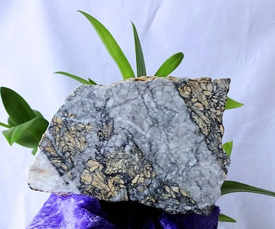 Smykker og sten, Skøn Pinolit, Spændende Pinolit på 868 gram.
Målene er 106x90x73 mm.
Fra nettet:
Pi