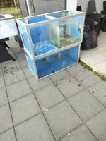 Akvarium, 250 liter