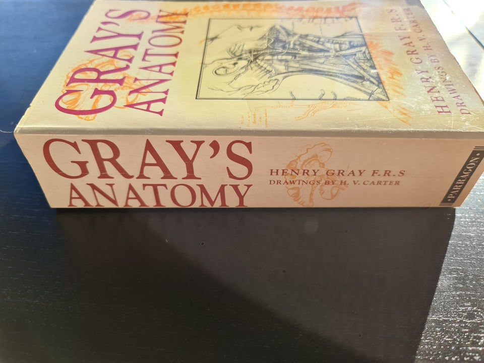 Gray's Anatomy, Henry Gray