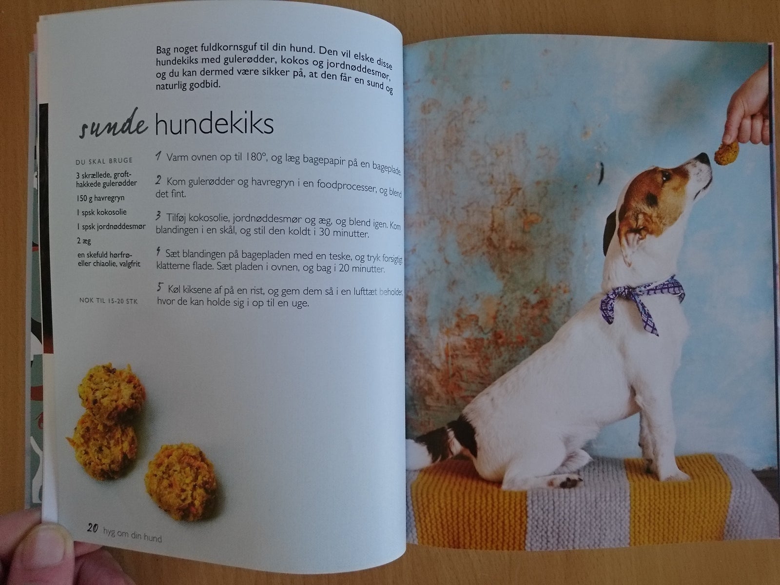 Hyg om din hund, Blondel, emne: dyr – dba.dk Køb og af Nyt og Brugt