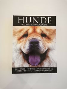 Find Hund Pleje - på og salg af nyt og brugt - side 3