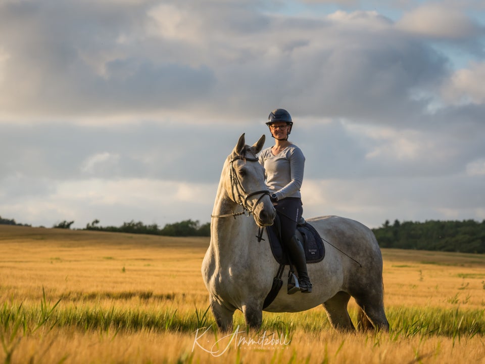 Blanding, hoppe, 7 år