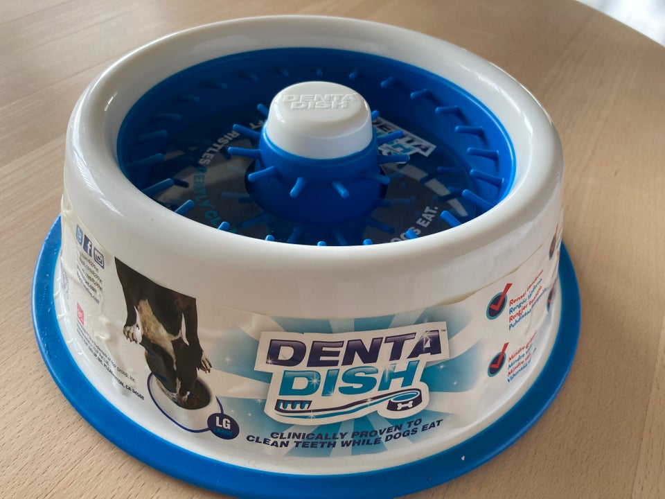 Dentadish best sale