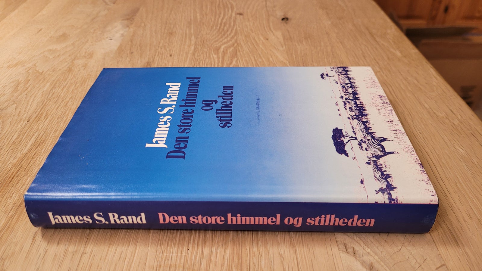 Den store himmel og stilheden, James Rand, genre: roman