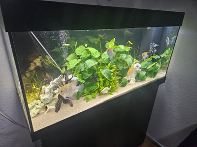 Akvarium, 180 liter, b: 101 d: 41 h: 50, Akvarium juwel Rio 180 liter sort med under skabe indbygget