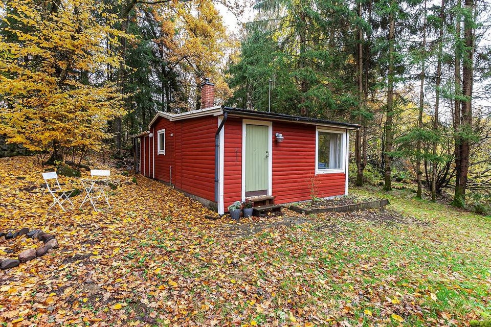 Sommerhus i den svenske skov