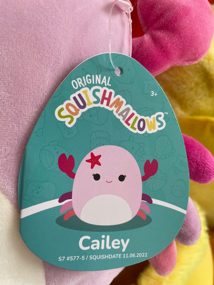 Cailey, Squishmallows