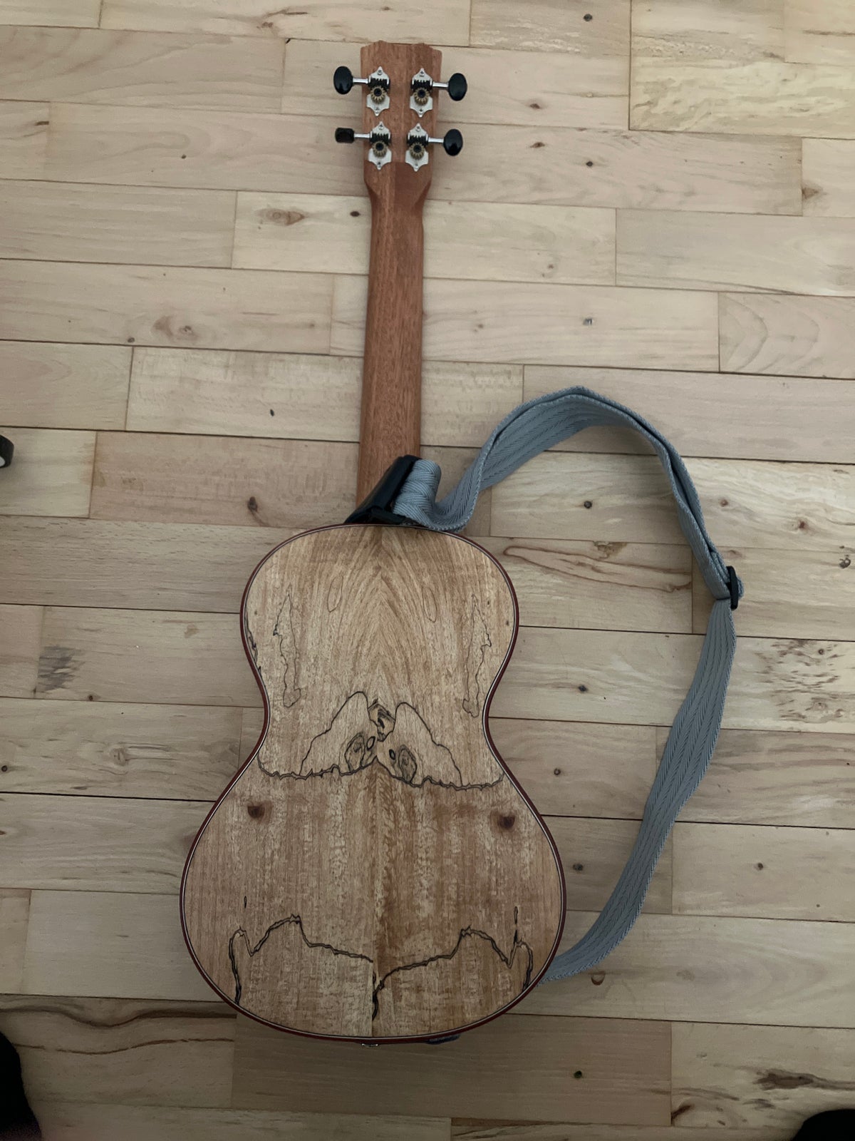 Andet, andet mærke Cordoba ukulele