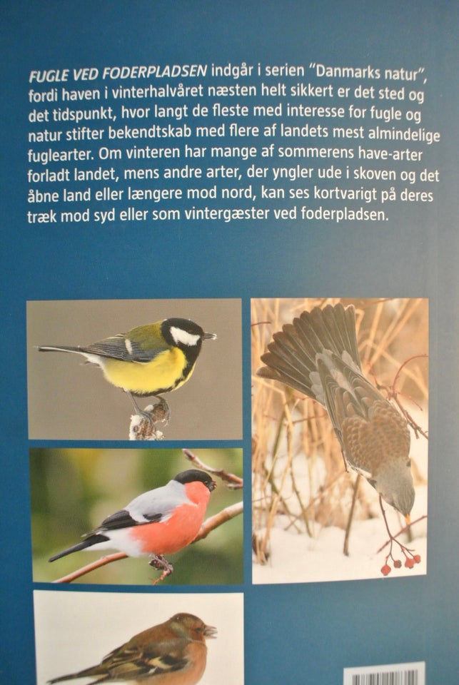 fugle ved foderpladsen, af benny gensbøl, emne: dyr