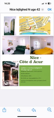 Nice, uge 42, 4 personer